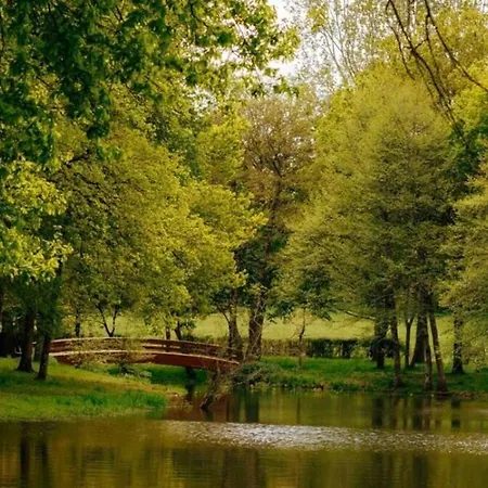 Tiny Village De Sault Σπίτι διακοπών Premilhat
